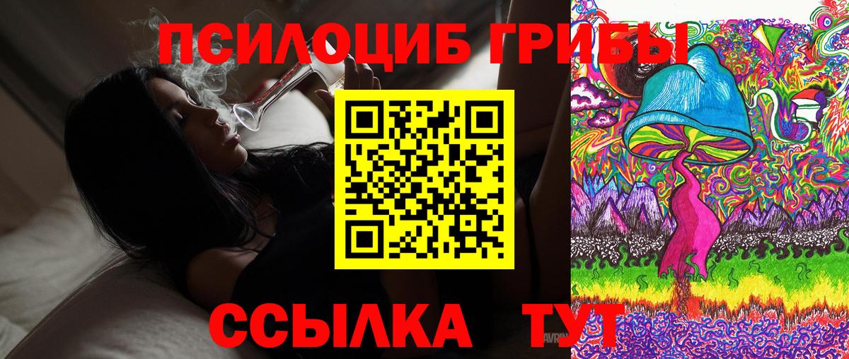 Псилоцибиновые грибы Psilocybine cubensis Прокопьевск